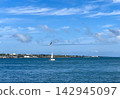 White Sailboat Sailing in Blue Ocean Bay with Seagulls 142945097