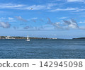 White Sailboat Sailing in Blue Ocean Bay with Seagulls 142945098