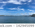 White Sailboat Sailing in Blue Ocean Bay with Seagulls 142945099