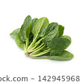 Spinach leaves on white backgrounds 142945968