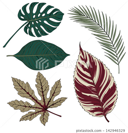 The selected region displays an illustration of a collection of five colorful tropical leaves in various shapes and shades The selected region displays an illustration of a collection of five colorful tropical leaves in various shapes and shades 142946329