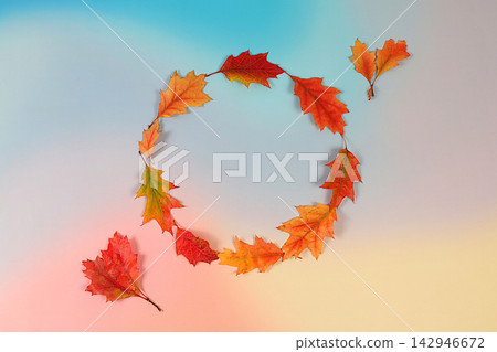 Autumn abstract composition with maple leaves on bright seasonal background, still life and Thanksgiving concept, screen banner and design template, greeting card and greeting, hello autumn. Autumn abstract composition with maple leaves on bright seasonal background, still life and Thanksgiving concept, screen banner and design template, greeting card and greeting, hello autumn. 142946672
