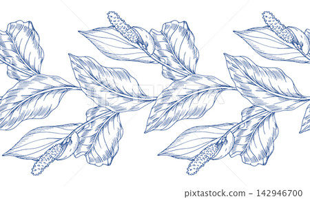 Seamless border of the tropical flowers. Spathiphyllum flower. Handmade ink illustration. For design of cards, cover, prints, product labels and fabric. Seamless border of the tropical flowers. Spathiphyllum flower. Handmade ink illustration. For design of cards, cover, prints, product labels and fabric. 142946700
