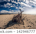 The Paradise of Armona Island  142946777