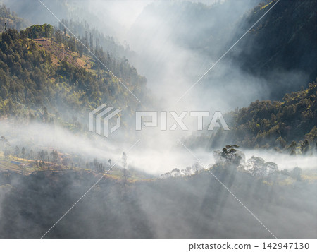 Aerial Bromo Highland Forested Slopes Shrouded in Mist Aerial Bromo Highland Forested Slopes Shrouded in Mist 142947130