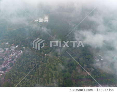 Birds eye perspective from the sky tracking tea farm fields Birds eye perspective from the sky tracking tea farm fields 142947190
