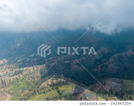 Aerial Highland Farmland and Forested Slopes Around Wonokerto Sukapura Indonesia Aerial Highland Farmland and Forested Slopes Around Wonokerto Sukapura Indonesia 142947204