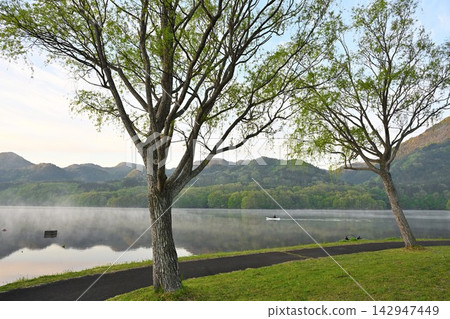 Lake Shichikashuku and the surrounding mountains shrouded in morning mist (Shichikashuku Town, Miyagi Prefecture) Lake Shichikashuku and the surrounding mountains shrouded in morning mist (Shichikashuku Town, Miyagi Prefecture) 142947449