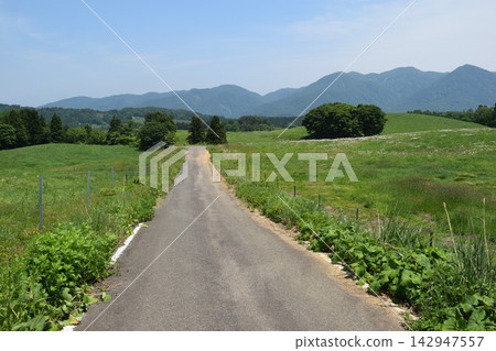 山形縣莊內市山路 山形縣莊內市山路 142947557