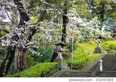 大田區香之橋蘭地坂 142947868