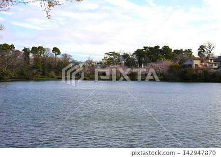仙嶺池公園的景色 142947870