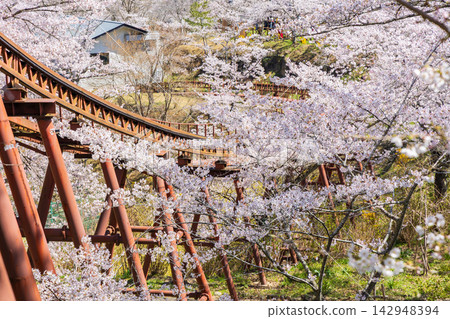 宮城縣柴田町的春天:船岡城遺址公園,日本100個最佳賞櫻地點之一,櫻花盛開。 宮城縣柴田町的春天:船岡城遺址公園,日本100個最佳賞櫻地點之一,櫻花盛開。 142948394