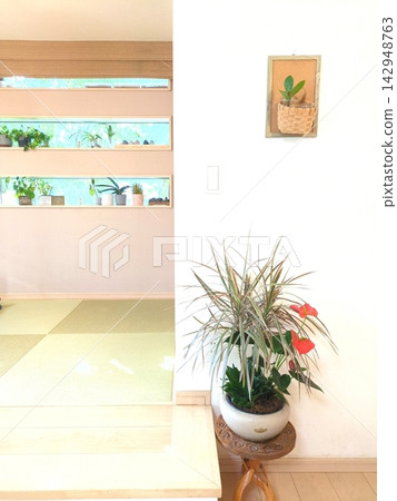 龍血樹「彩虹」、紅掌和其他室內植物的盆栽組合,用於室內裝飾,日式現代風格。 龍血樹「彩虹」、紅掌和其他室內植物的盆栽組合,用於室內裝飾,日式現代風格。 142948763