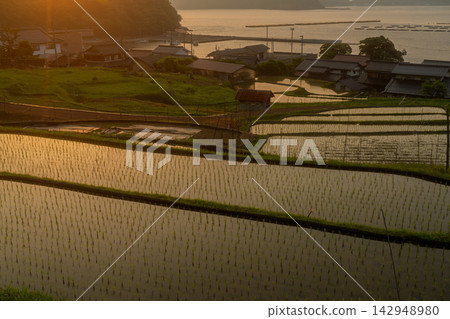 The Hibiki Rice Terraces in the Hibiki district of Takahama Town, Wakasa, Fukui Prefecture: A quintessential Japanese landscape where a fishing village, the sea, and terraced rice fields intertwine on the tranquil Uchiura Bay. 142948980