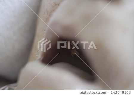 secretion secretion 142949103