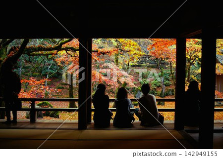 Silhouettes of people gazing at the beautiful autumn foliage garden from the veranda of Komyozenji Temple in Dazaifu City, Fukuoka Prefecture. 142949155