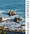 Rocky reefs carved by rough waves 142949432