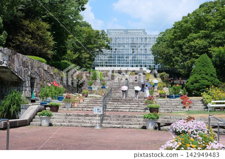廣島市植物園通往大型溫室的小路沿途的風景 廣島市植物園通往大型溫室的小路沿途的風景 142949483