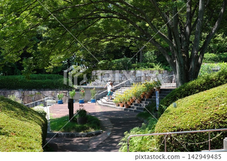 廣島市植物園入口景觀 廣島市植物園入口景觀 142949485