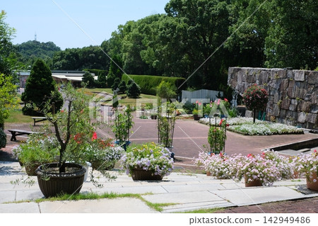廣島市植物園入口處的大片花壇 廣島市植物園入口處的大片花壇 142949486