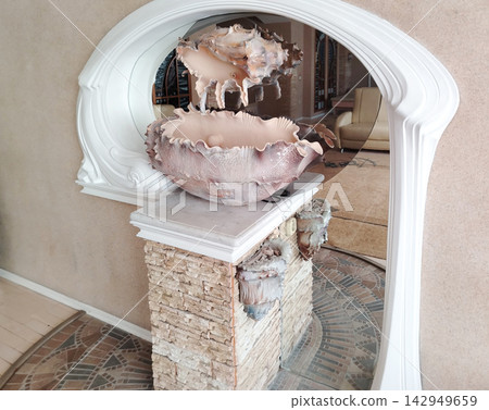 Decorative shell fountain with cascading water in elegant interior setting, mirror reflection visible Decorative shell fountain with cascading water in elegant interior setting, mirror reflection visible 142949659