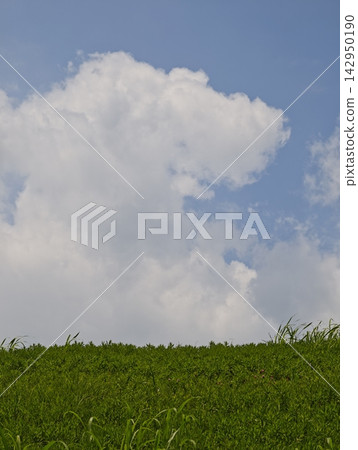 夏天藍天和青山 夏天藍天和青山 142950190