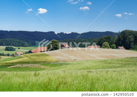Idyllic European countryside landscape with rolling hills, farmland, and a small village under a blue sky. Idyllic European countryside landscape with rolling hills, farmland, and a small village under a blue sky. 142950520