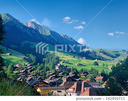 Scenic Alpine Village Nestled in Green Mountain Valley Under Blue Sky 142950711