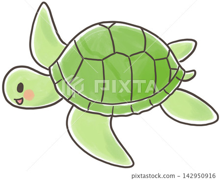 Cute swimming sea turtle Cute swimming sea turtle 142950916