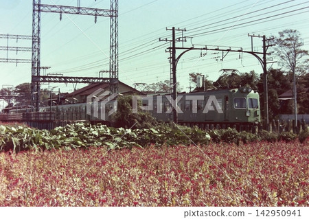 京王鐵道,第一代2000系,2053…2013,武藏野台,1976年10月29日 京王鐵道,第一代2000系,2053…2013,武藏野台,1976年10月29日 142950941