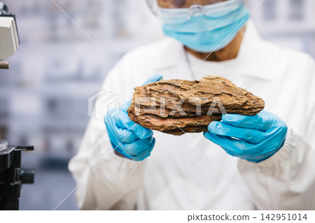 Masked laboratory scientist wearing blue gloves examines a layered brown rock specimen in a research lab. 142951014