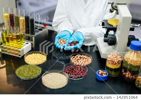 Food scientist examines different beans and grains in a laboratory, using a microscope for quality testing and agricultural research. Food scientist examines different beans and grains in a laboratory, using a microscope for quality testing and agricultural research. 142951064