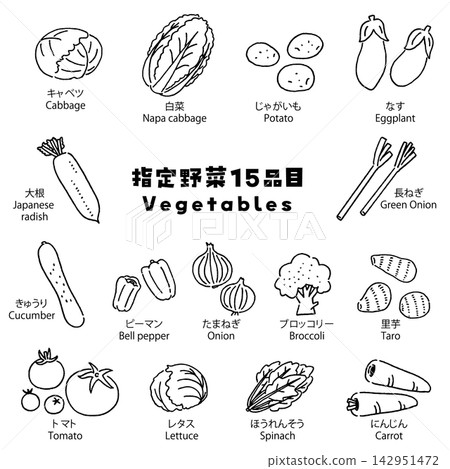 一套包含 15 種指定蔬菜的線條藝術向量插圖,包括大白菜、捲心菜、大蔥和洋蔥。 一套包含 15 種指定蔬菜的線條藝術向量插圖,包括大白菜、捲心菜、大蔥和洋蔥。 142951472