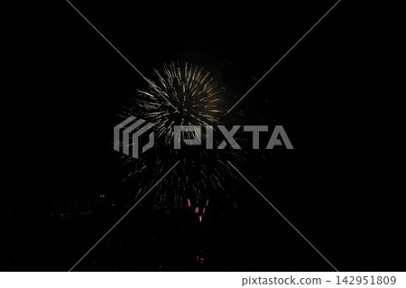 Large fireworks blooming in the night sky Large fireworks blooming in the night sky 142951809