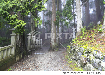 朝聖路線上的第十二座寺廟,丸山聖珠院聖山寺,在細雨中,通往寺廟大門的道路兩旁綠樹成蔭,景色宜人。 朝聖路線上的第十二座寺廟,丸山聖珠院聖山寺,在細雨中,通往寺廟大門的道路兩旁綠樹成蔭,景色宜人。 142951856