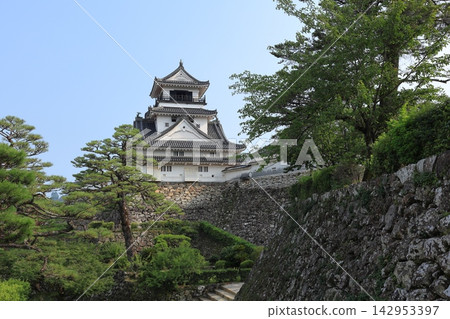 Kochi Prefecture, Kochi City, Kochi Castle Tower Kochi Prefecture, Kochi City, Kochi Castle Tower 142953397