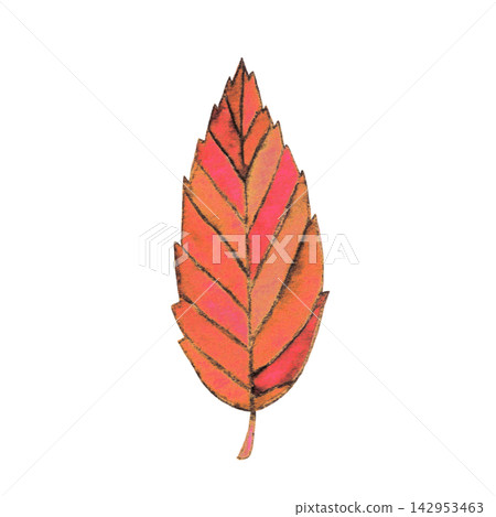 Watercolor illustration of withered fallen leaves Watercolor illustration of withered fallen leaves 142953463