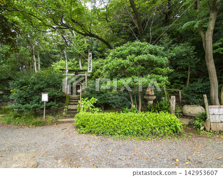 Rain at Sankei-en Garden Rain at Sankei-en Garden 142953607