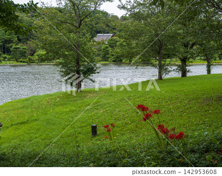 Rain at Sankei-en Garden Rain at Sankei-en Garden 142953608