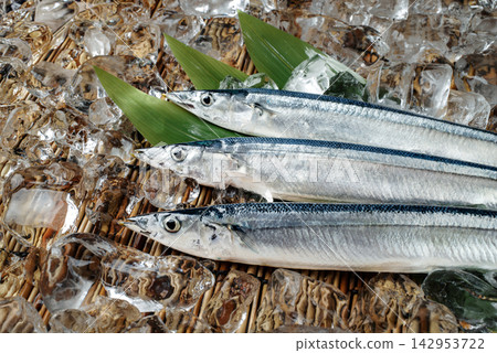 冰上秋刀魚的特寫鏡頭 冰上秋刀魚的特寫鏡頭 142953722