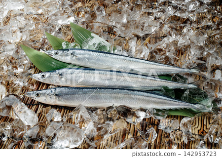 新鮮生秋刀魚，佐以冰塊和竹葉 142953723