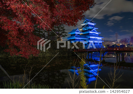 [Special Light-Up] Matsumoto Castle in Autumn, Illuminated in Blue [Nagano Prefecture] 142954027