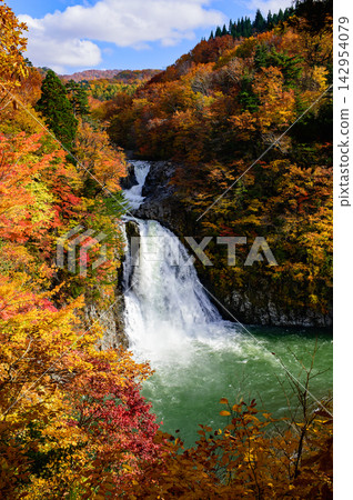 One of Japan's Top 100 Waterfalls: Hotai Falls, Autumn, Akita Prefecture One of Japan's Top 100 Waterfalls: Hotai Falls, Autumn, Akita Prefecture 142954079
