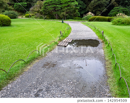 Puddles formed on the park path due to the rain; temporary wooden planks were installed to allow passage. Puddles formed on the park path due to the rain; temporary wooden planks were installed to allow passage. 142954509
