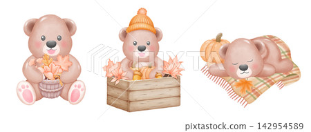Fall bear seasonal watercolor illustration Fall bear seasonal watercolor illustration 142954589