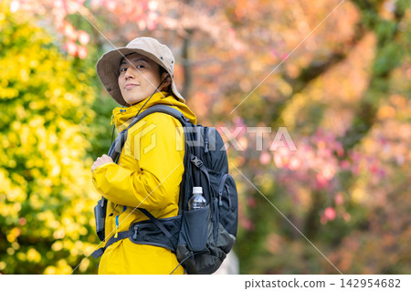 秋葉、賞葉、秋天 142954682