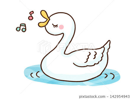 A swan gracefully singing while floating on the water (Swan song) A swan gracefully singing while floating on the water (Swan song) 142954943