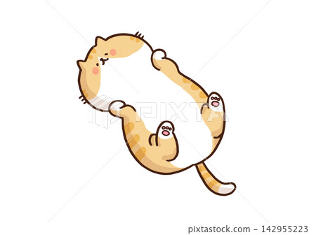 A cat lying on its back, showing its belly and relaxing (belly up). A cat lying on its back, showing its belly and relaxing (belly up). 142955223