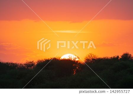 Sunset over the savanna in Serengeti National Park, Africa Sunset over the savanna in Serengeti National Park, Africa 142955727
