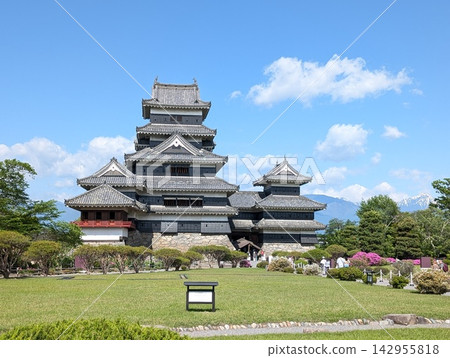 Matsumoto Castle, a national treasure, adorned with blue skies and fresh greenery. Matsumoto Castle, a national treasure, adorned with blue skies and fresh greenery. 142955818